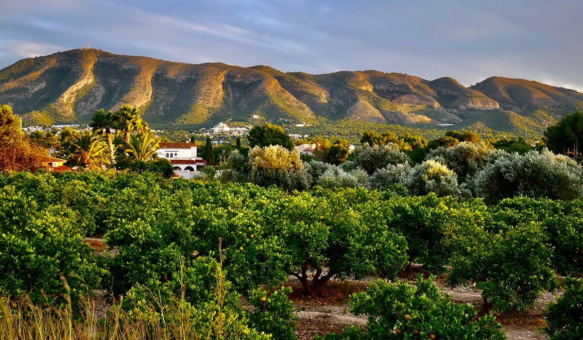 Stor tilgang på grunnvann gjør Alfaz del Pi grønn og frodig hele året