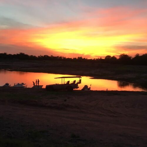 Solnedgang - sundowner - Safari