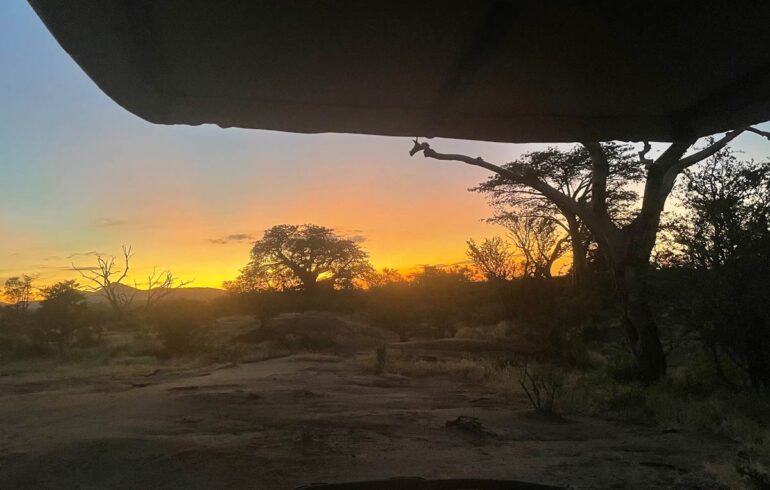 Sundowner på safari