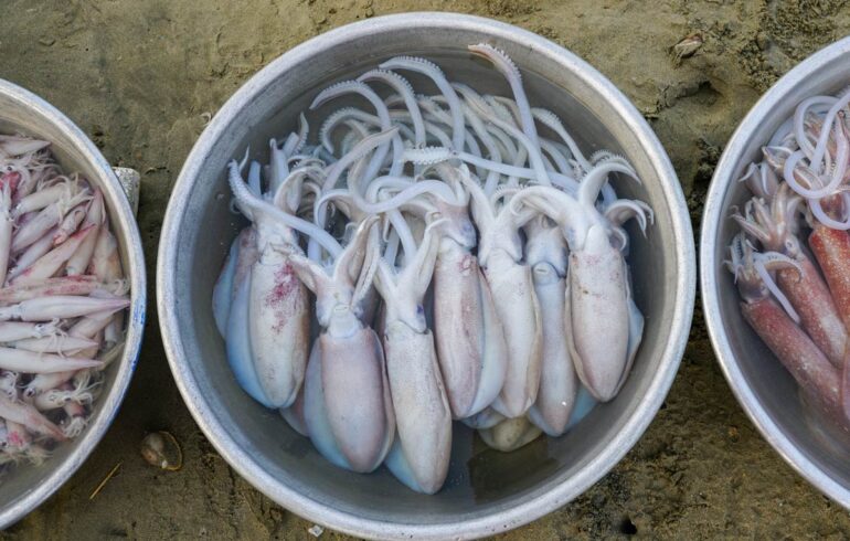 Fersk sjømat, Vietnam