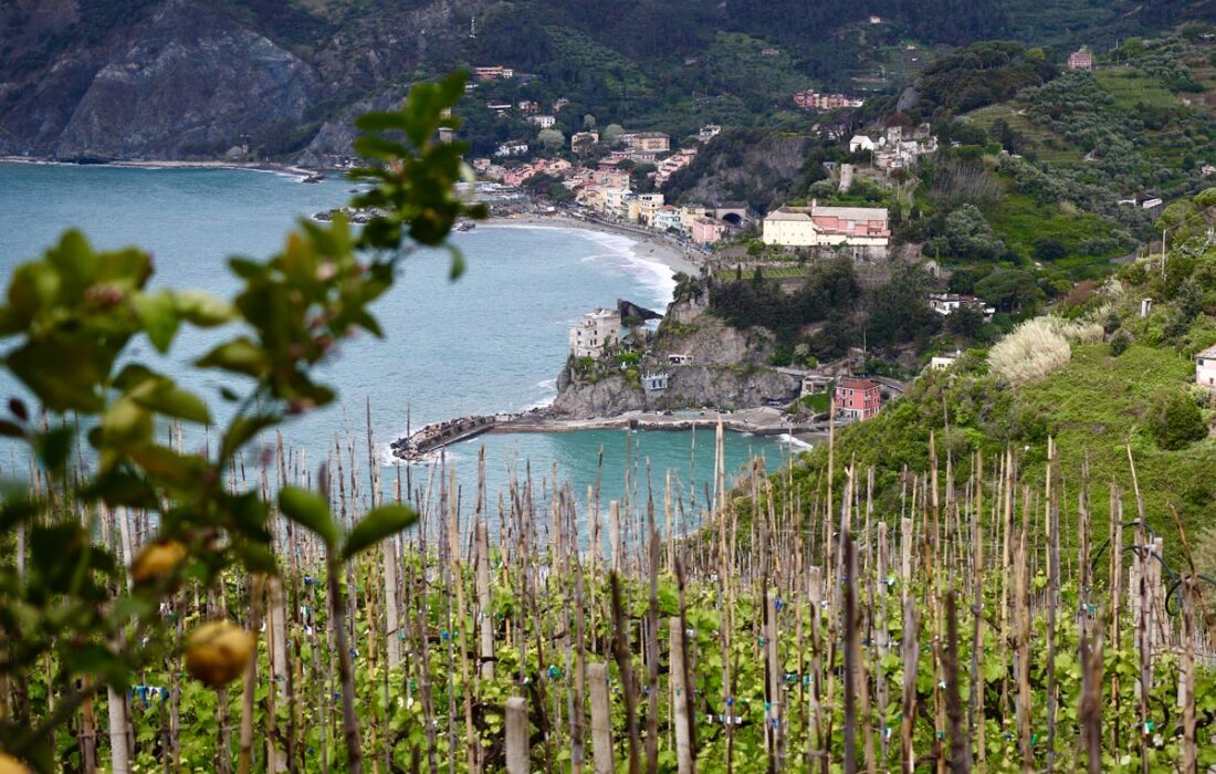Vandringer Cinque Terre, Italia
