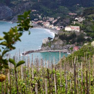 Vandringer Cinque Terre, Italia